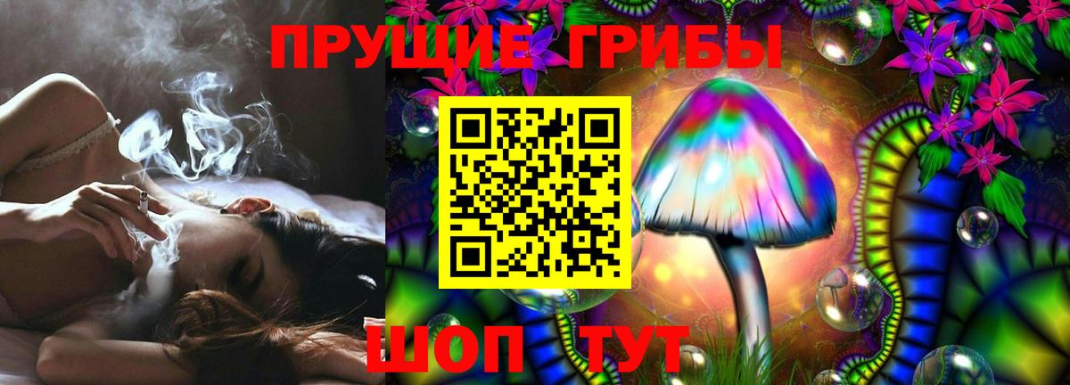 Псилоцибиновые грибы GOLDEN TEACHER Ликино-Дулёво